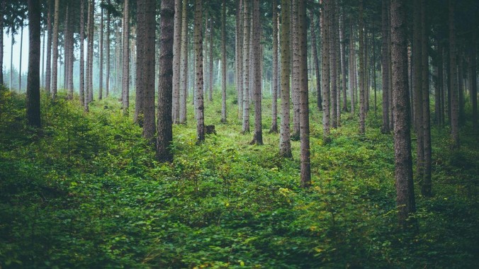 国内***购 5000 万台电脑，***用100％ 国产芯和操作系统，意味着什么？